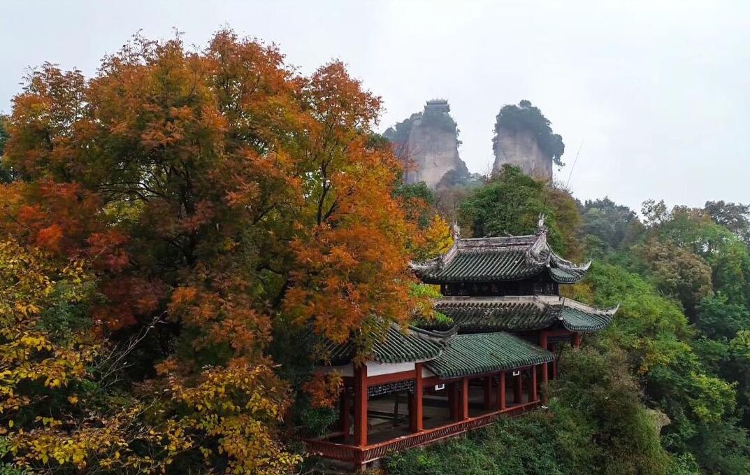 @所有女士，陽(yáng)春三月竇圌山景區(qū)邀您免費(fèi)來踏春賞花！