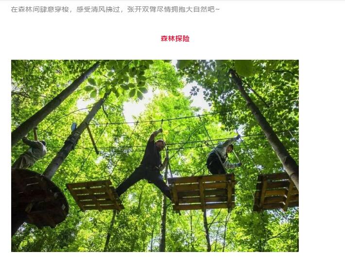 QQ截圖20201116170541.jpg