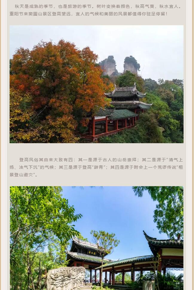 QQ截圖20201117155733.jpg