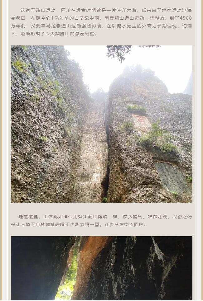 QQ截圖20201117155832.jpg